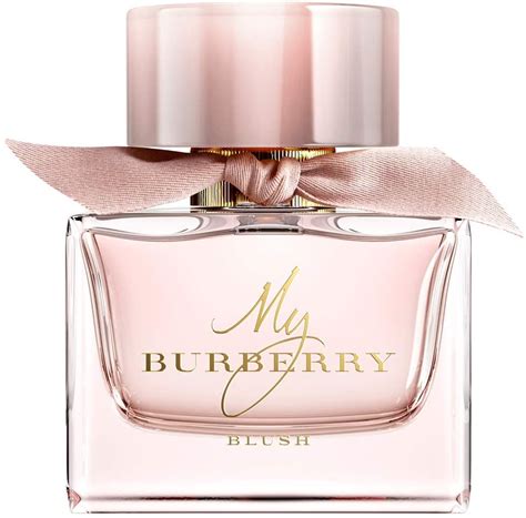 burberry rush perfume|burberry blush for women.